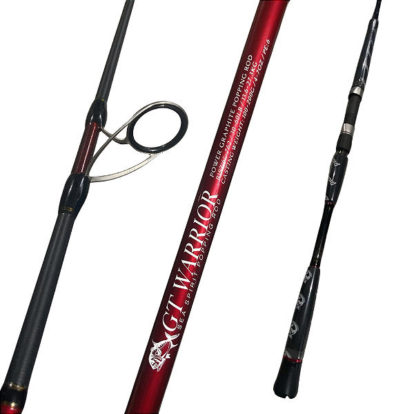 Vara Molinete Pioneer GT Warrior Up Set POP/PE 6 30-60 LBS 2,30M