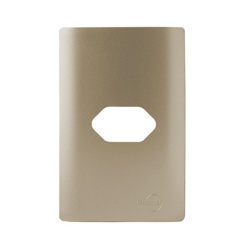 PLACA P/ 1 TOMADA HORIZONTAL  COM SUPORTE 4X2 - NOVARA CHAMPANHE