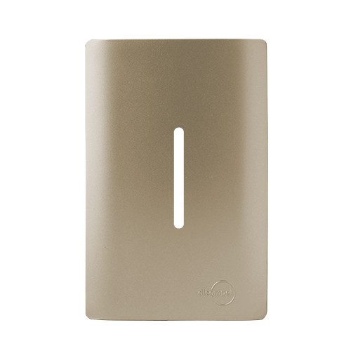 PLACA P/ 1 INTERRUPTOR VERTICAL COM SUPORTE 4X2 - NOVARA CHAMPANHE