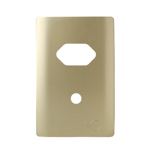 PLACA P/ 1 TOMADA + FURO COM SUPORTE 4X2 - NOVARA DOURADO