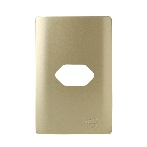 PLACA P/ 1 TOMADA HORIZONTAL COM SUPORTE 4X2- NOVARA DOURADO