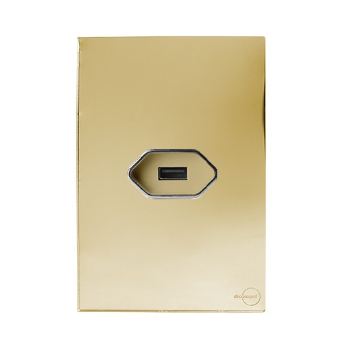 CJ ENTRADA USB 2.A COM SUPORTE 4X2 - GLASS DOURADO CROMADO