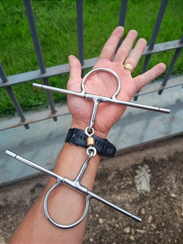 Bridão Caneta Ou Agulha Com Salivador Articulado Inox