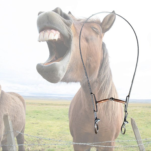 Freio Bridão Gag Bit Articulado Com Cabo de Aço ação na nuca Bocal Cobre