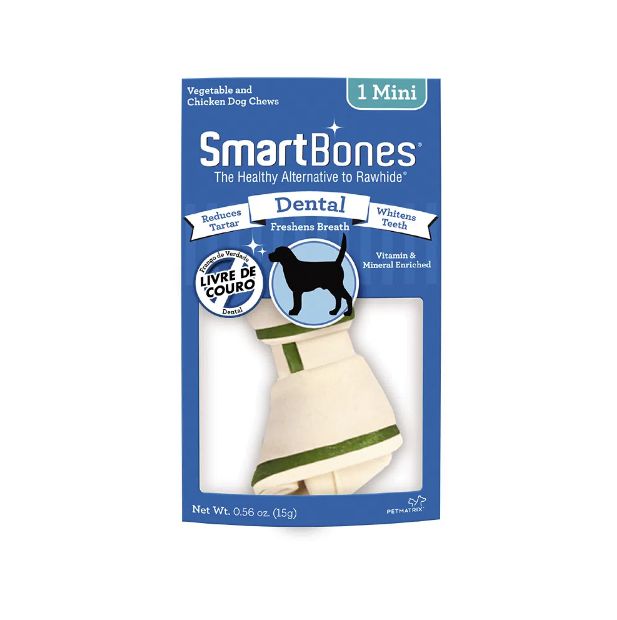 Smartbones Disp Dental Mini 16G