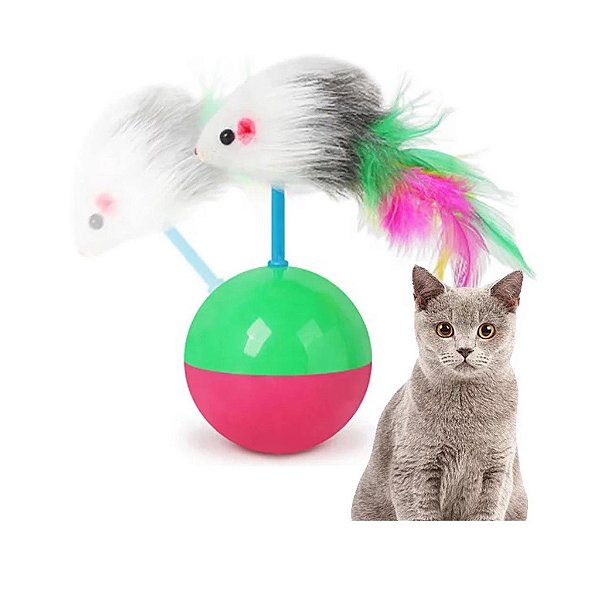 joão bobo ratinho gatos - pet mart