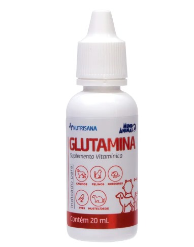 Display Glutamina 20 Ml 15Und