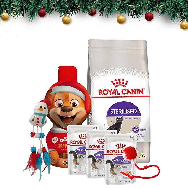Combo especial de Natal para gatos
