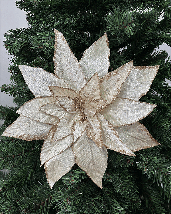 H.BICO PAPAGAIO NATAL (CHAMPANHE) 31cm