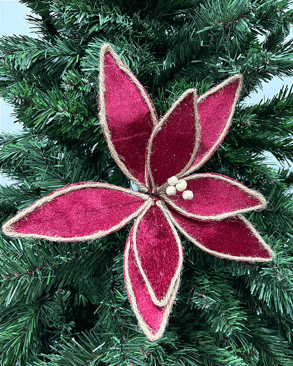 H bico papagaio bordo 26cm