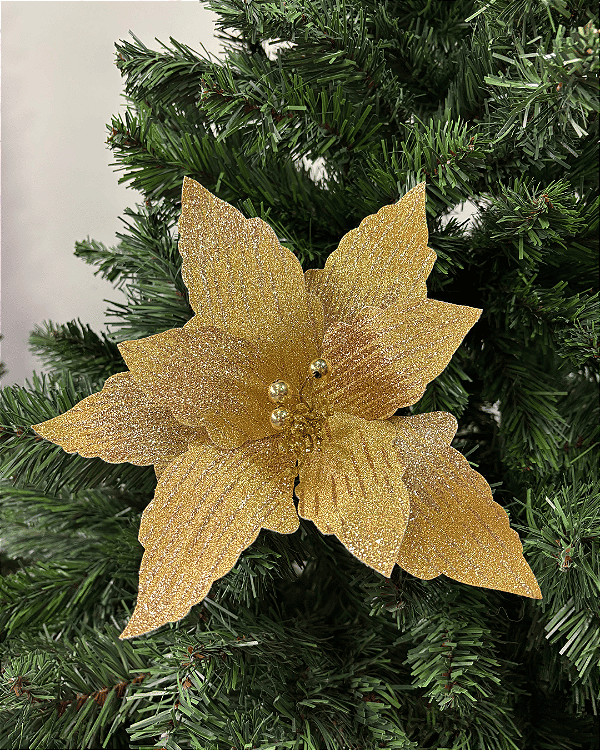 Poinsetia Do 30 cm