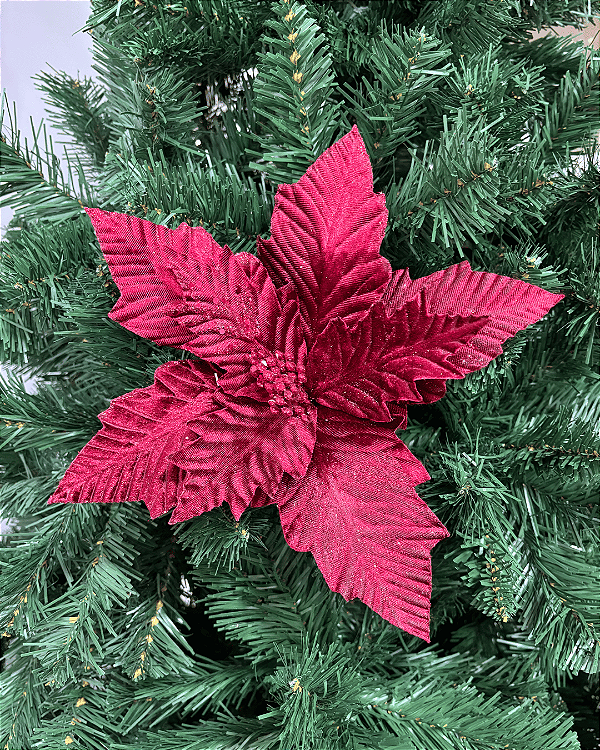 POINSETIA BORDO (FLOR CABO CURTO)