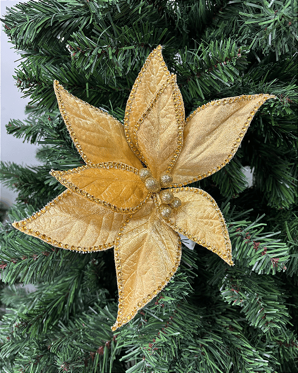 Poinsetia Dourada 50 cm
