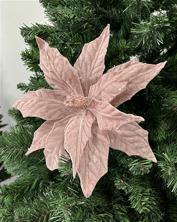 POINSETIA ROS (FLOR CABO CURTO)
