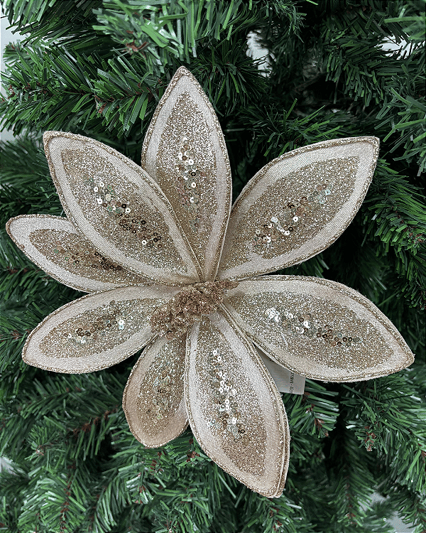 Poinsetia Decorativa Champanhe