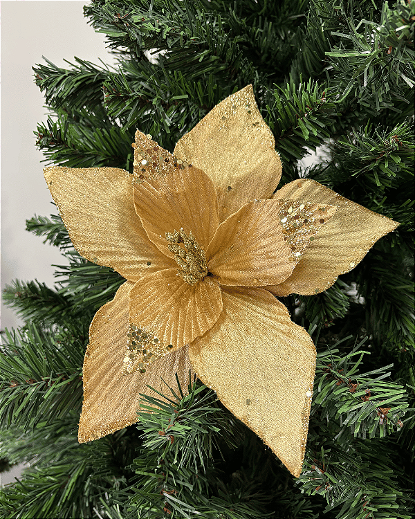 H.BICO DE PAPAGAIO (DOURADO) 28cm