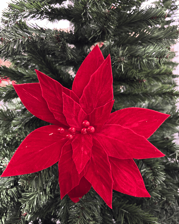 POINSETIA VRM 30cm (FLORES CAB CURT)