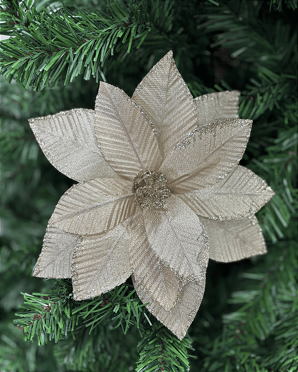 FLOR DEC POINSETIA CHAMPANHE 20CM