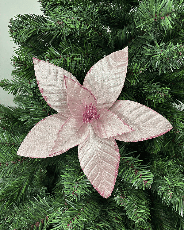 H.BICO DE PAPAGAIO (ROSA CLARO) 35cm
