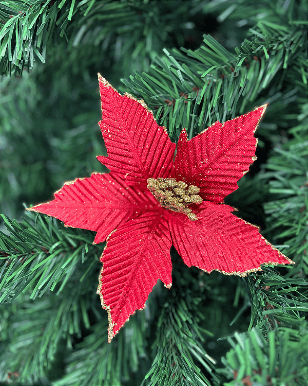 H.BICO PAPAGAIO (VERMELHO) 23cm