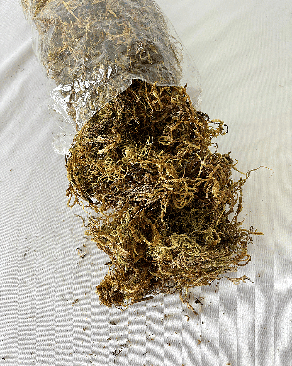 MUSGO NATURAL  (SACO 50G)