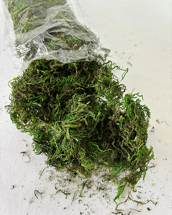 MUSGO VERDE TINGIDO (SACO 50G)