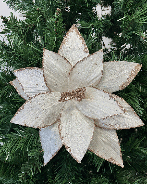 H.BICO DE PAPAGAIO NATAL  (OFF WHITE/CHAMPANHE) 23cm 29d
