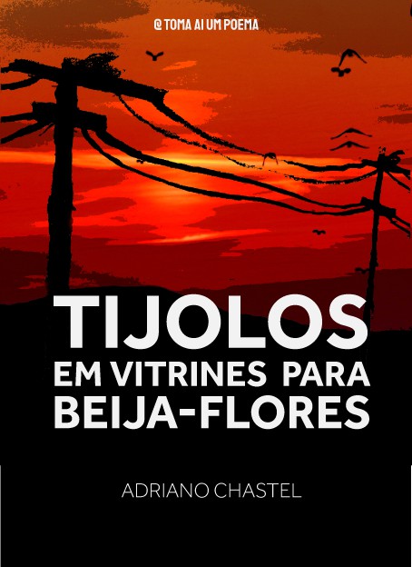 Livro de Poesia | Tijolos em Vitrine Para Beija-Flores de Adriano Chastel
