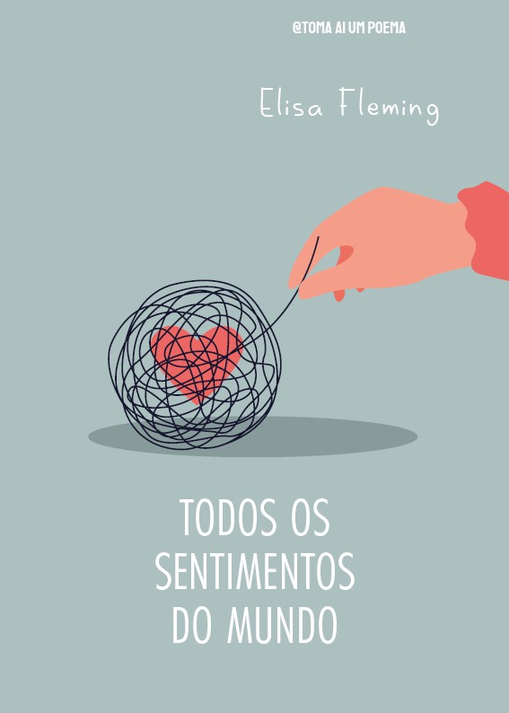 Todos os sentimentos do mundo — Elisa Fleming