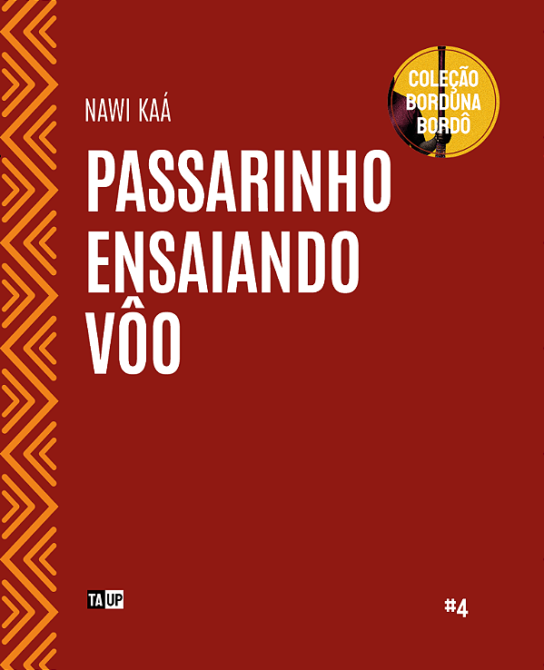 Passarinho Ensaiando Vôo - Nawi Kaa