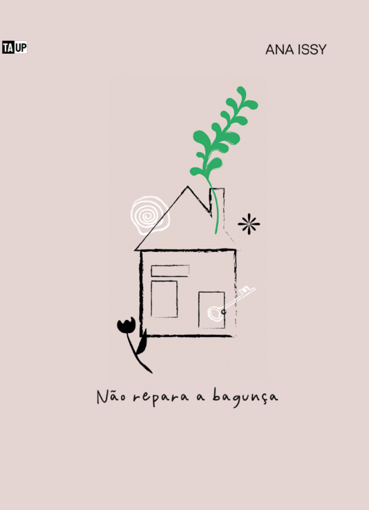 Livro Não Repara a Bagunça - Ana Luisa Issy