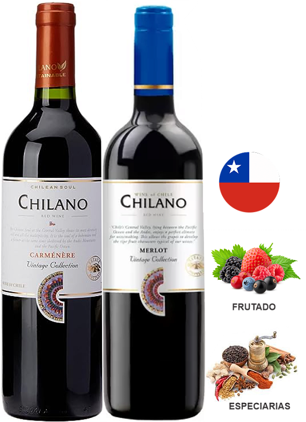 Combo 2 Vinhos Chilano 750ml