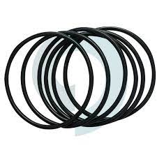 O-ring Vedação Bomba Pulverizador Guarany Pcp1p 1,25