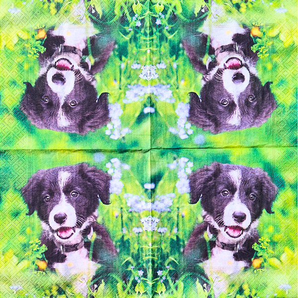 Guardanapo para Decoupage 33x33 Cãozinho Meu Melhor Amigo