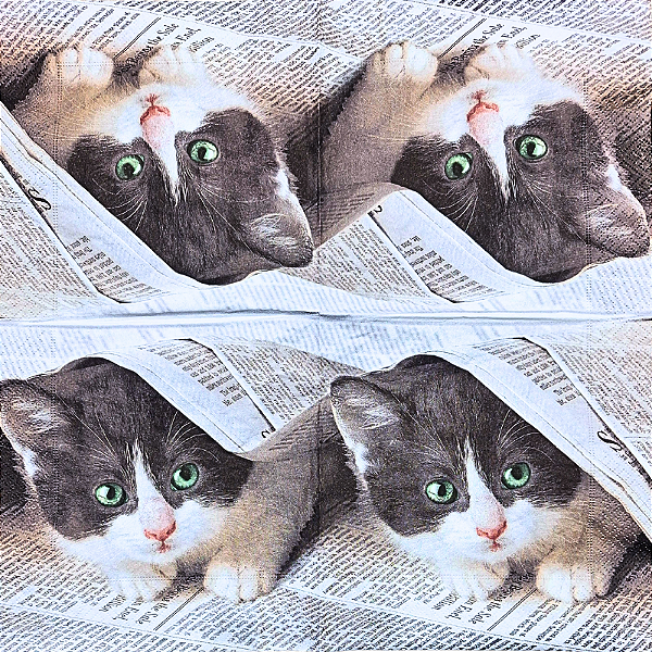 Guardanapo para Decoupage 33x33 Gatinho Fofinho
