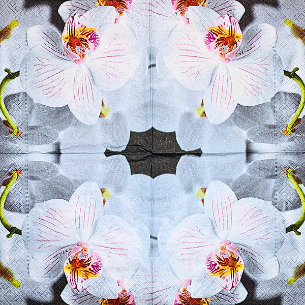 Guardanapo para Decoupage 33x33 Orquídea Phalaenopsis Branca