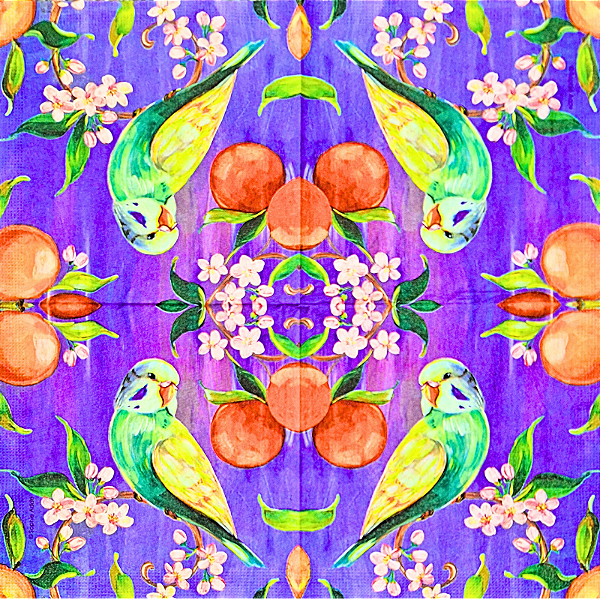 Guardanapo para Decoupage 33x33 Periquito e Laranjas