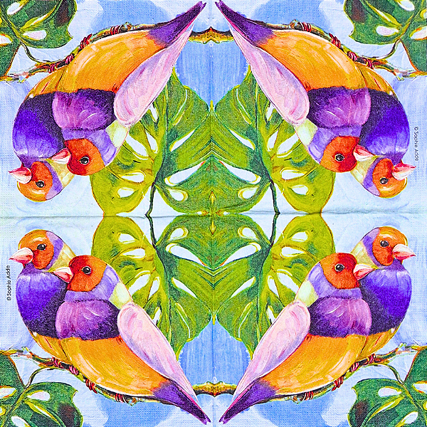 Guardanapo para Decoupage 33x33 Pássaros Diamante de Gould