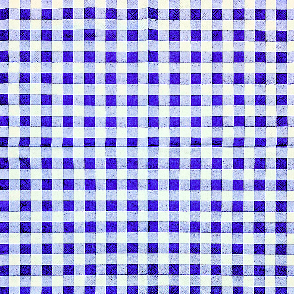 Guardanapo para Decoupage 33x33 Xadrez Grande Azul e Branco
