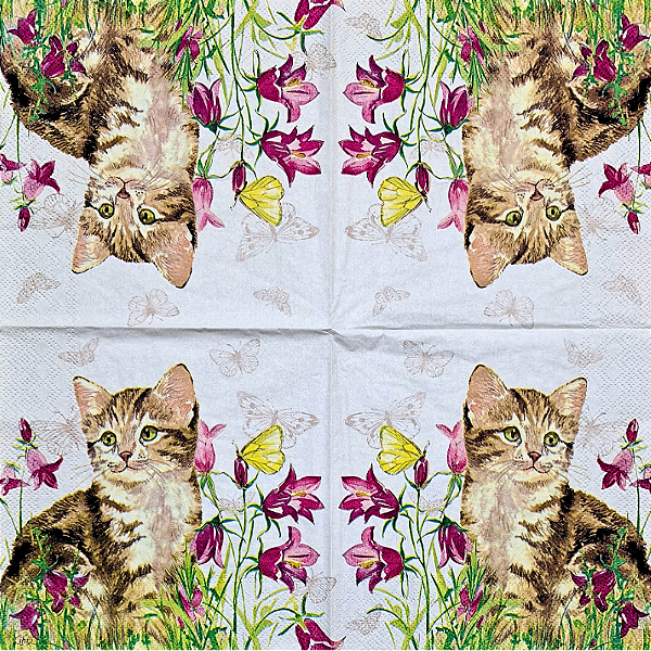 Guardanapo para Decoupage 33x33 Gata Luna