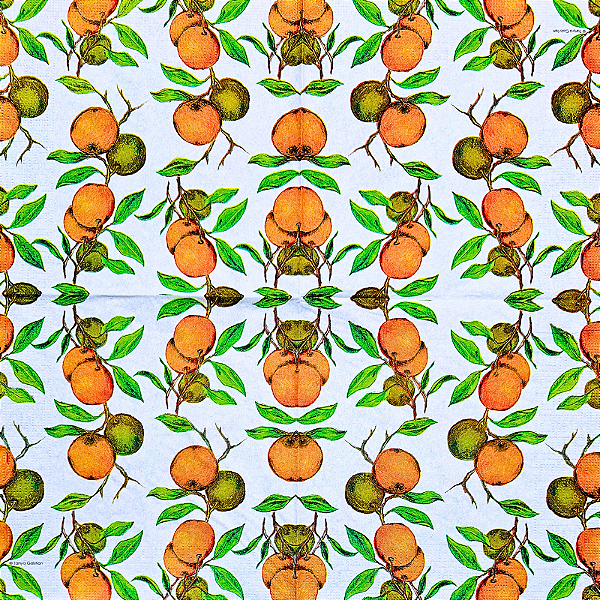 Guardanapo para Decoupage 33x33 Laranjas by Tanya Galstian