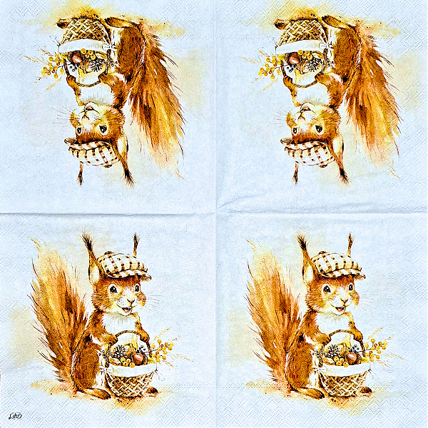 Guardanapo para Decoupage 25x25 Esquilo