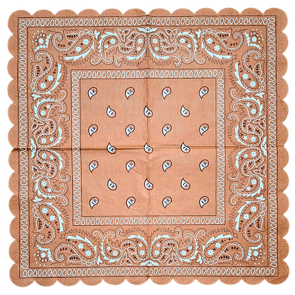 Guardanapo para Decoupage 33x33 Paisley Marrom