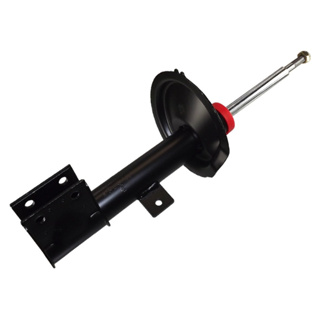 Amortecedor Dianteiro Citroën C4 07/14 Peugeot 307 02/12 Lado Direito