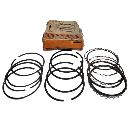 Anel De Segmento Ford Corcel / Del Rey / Escort 1.6 CHT 87/91