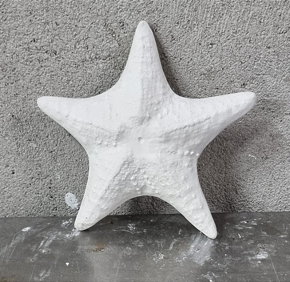 Estrela do Mar de Parede 13cm Gesso Cru