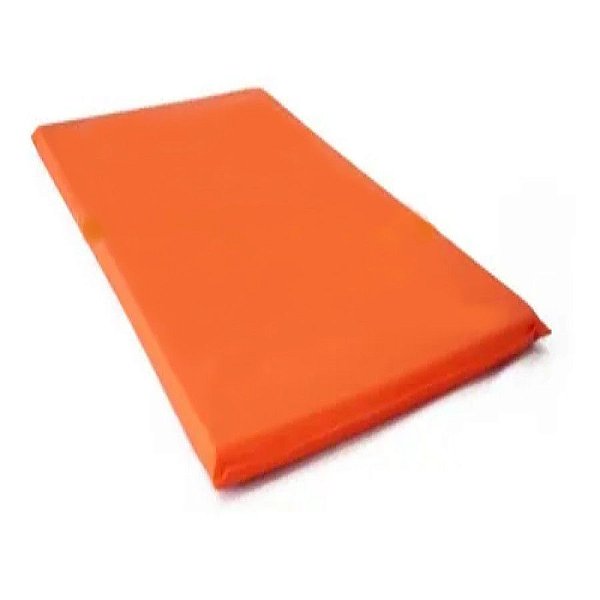 Colchonete de Espuma 90x42x2cm - Laranja - Taurene