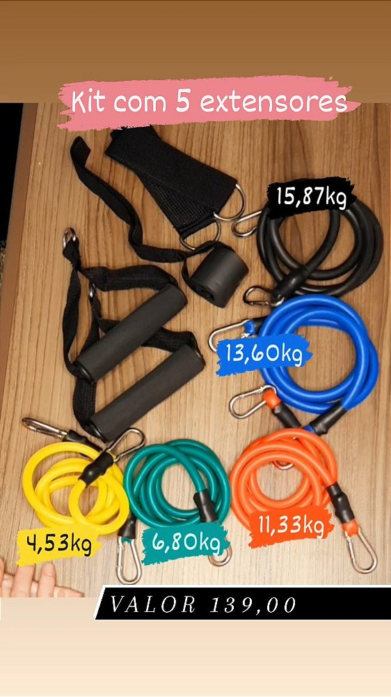 KIT DE EXTENSORES + PEGADORES + TORNOZELEIRAS + ÂNCORA DE PORTA
