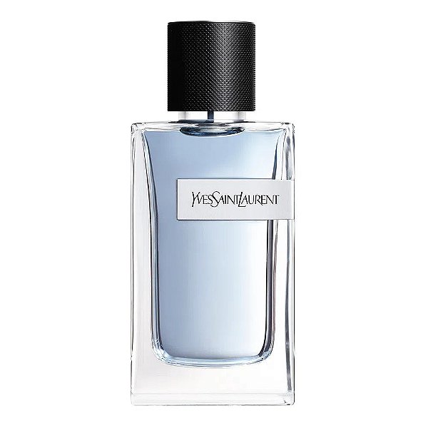 Y Yves Saint Laurent Perfume Masculino EDT 100ml Selo Adipec