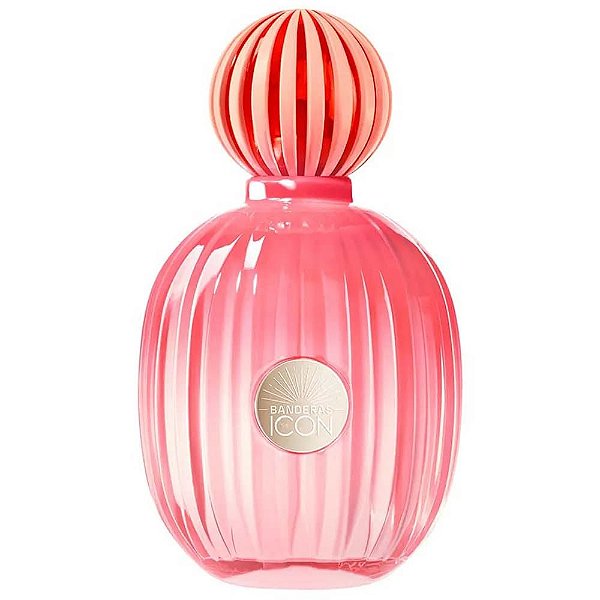 The Icon Splendid Perfume Feminino EDP 100ml Selo Adipec